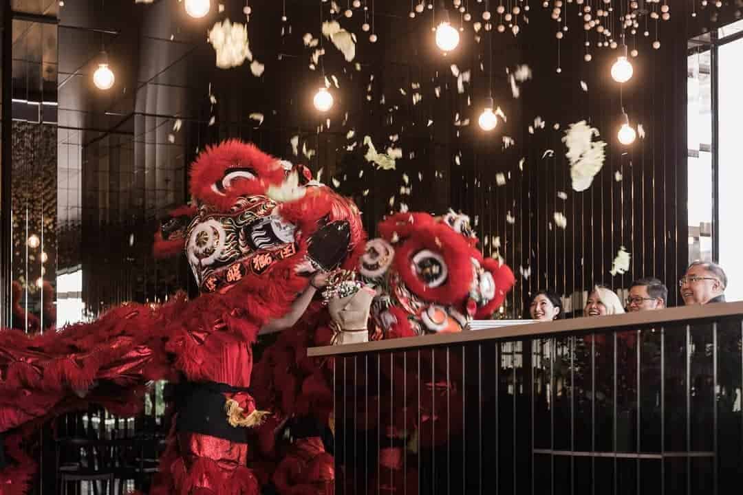 Cheng Lion Dance Lettuce